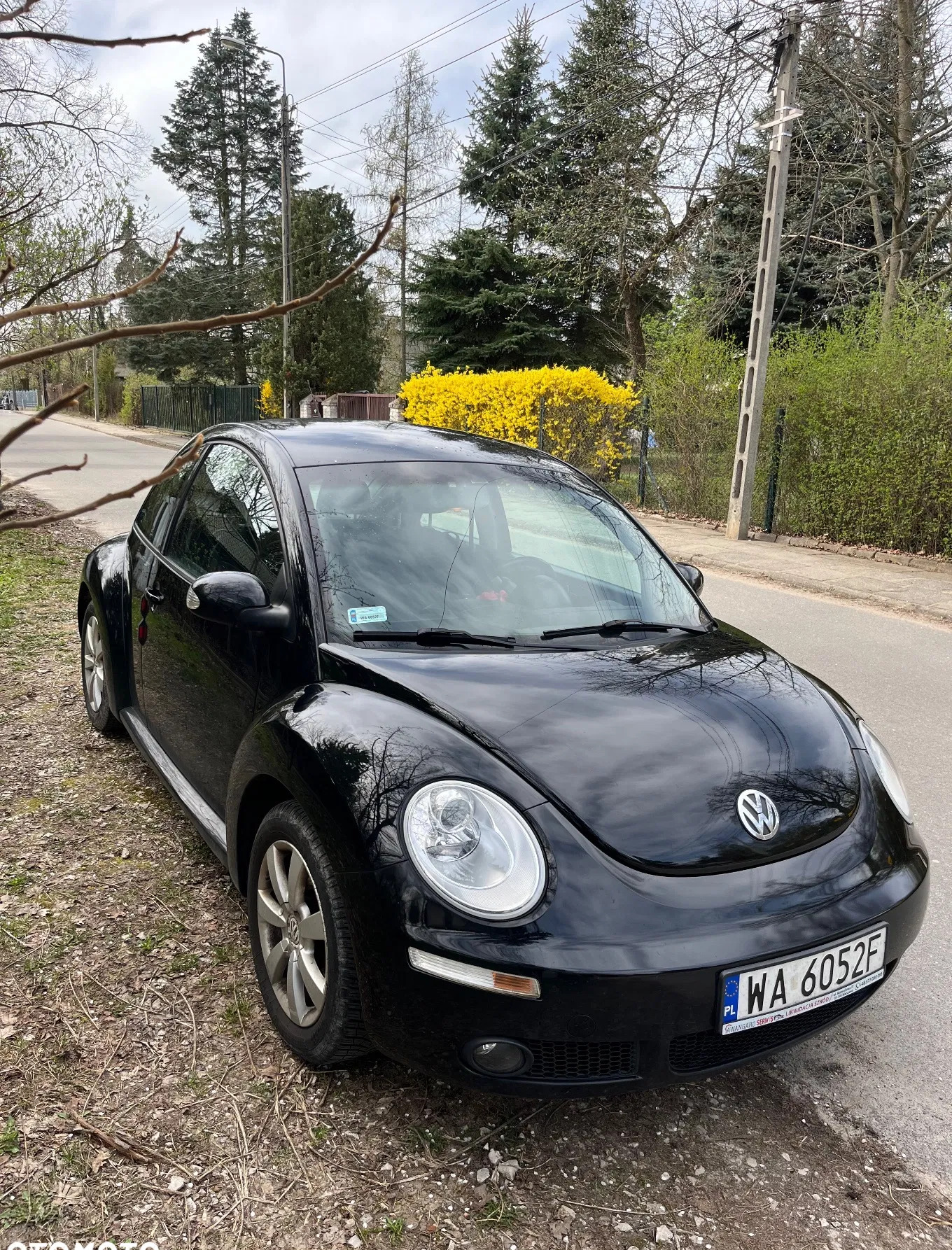 Volkswagen New Beetle cena 13000 przebieg: 292348, rok produkcji 2006 z Warszawa małe 121